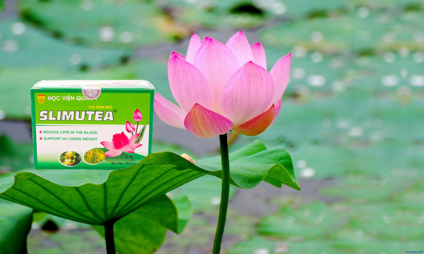 trà lá sen slimutea giảm cân tại Bình Chánh